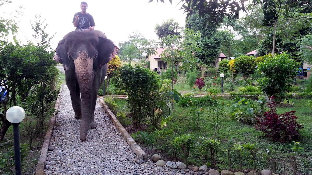 Chitwan Safari Camp & Lodge Sauraha Eksteriør billede