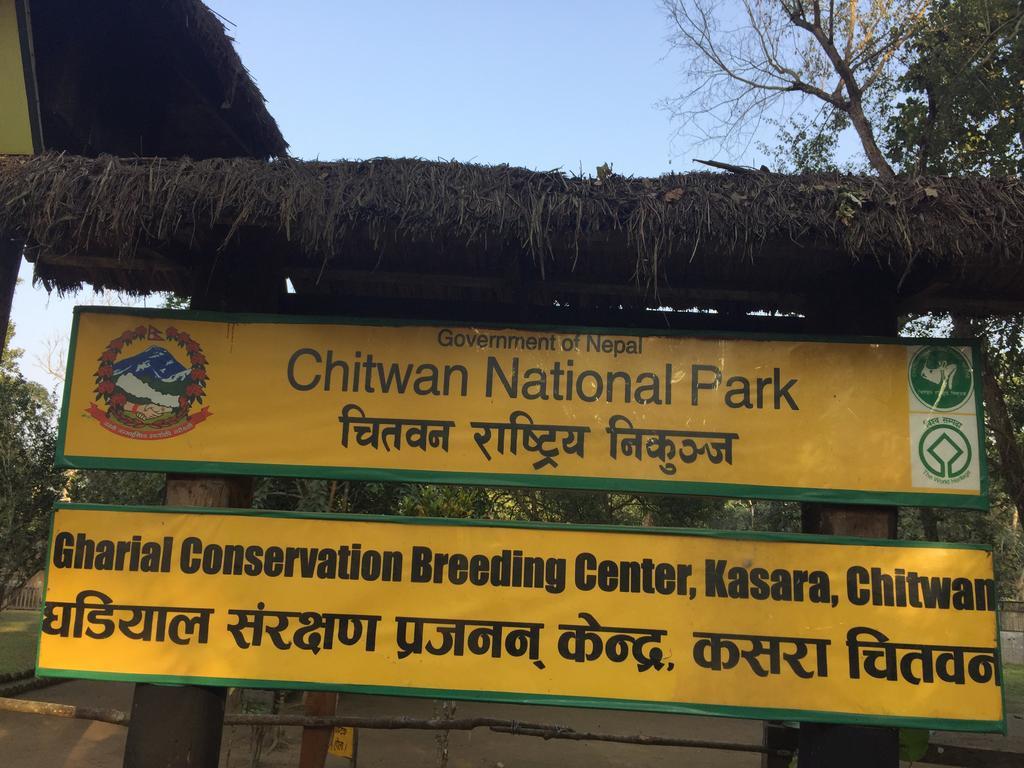 Chitwan Safari Camp & Lodge Sauraha Eksteriør billede