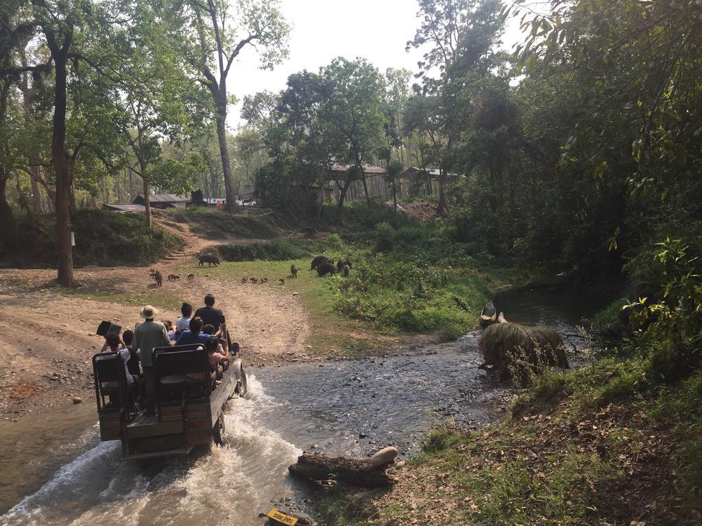 Chitwan Safari Camp & Lodge Sauraha Eksteriør billede