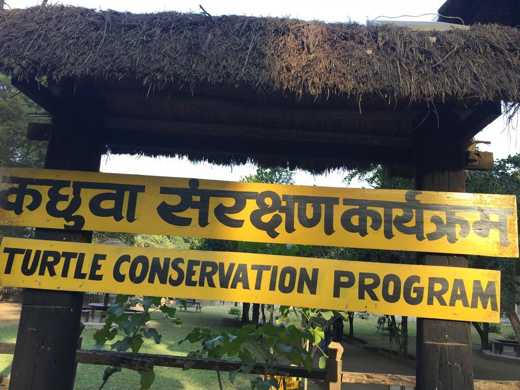 Chitwan Safari Camp & Lodge Sauraha Eksteriør billede