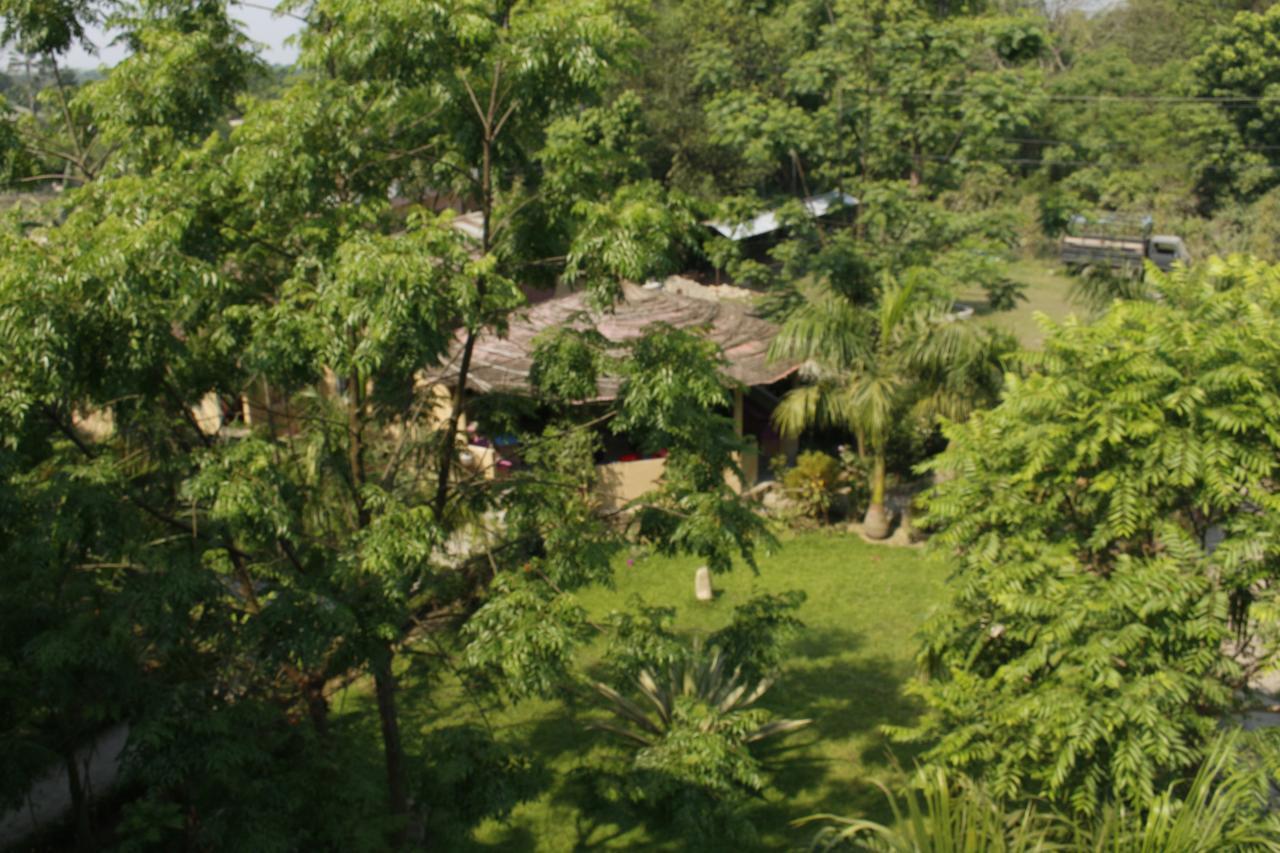 Chitwan Safari Camp & Lodge Sauraha Eksteriør billede