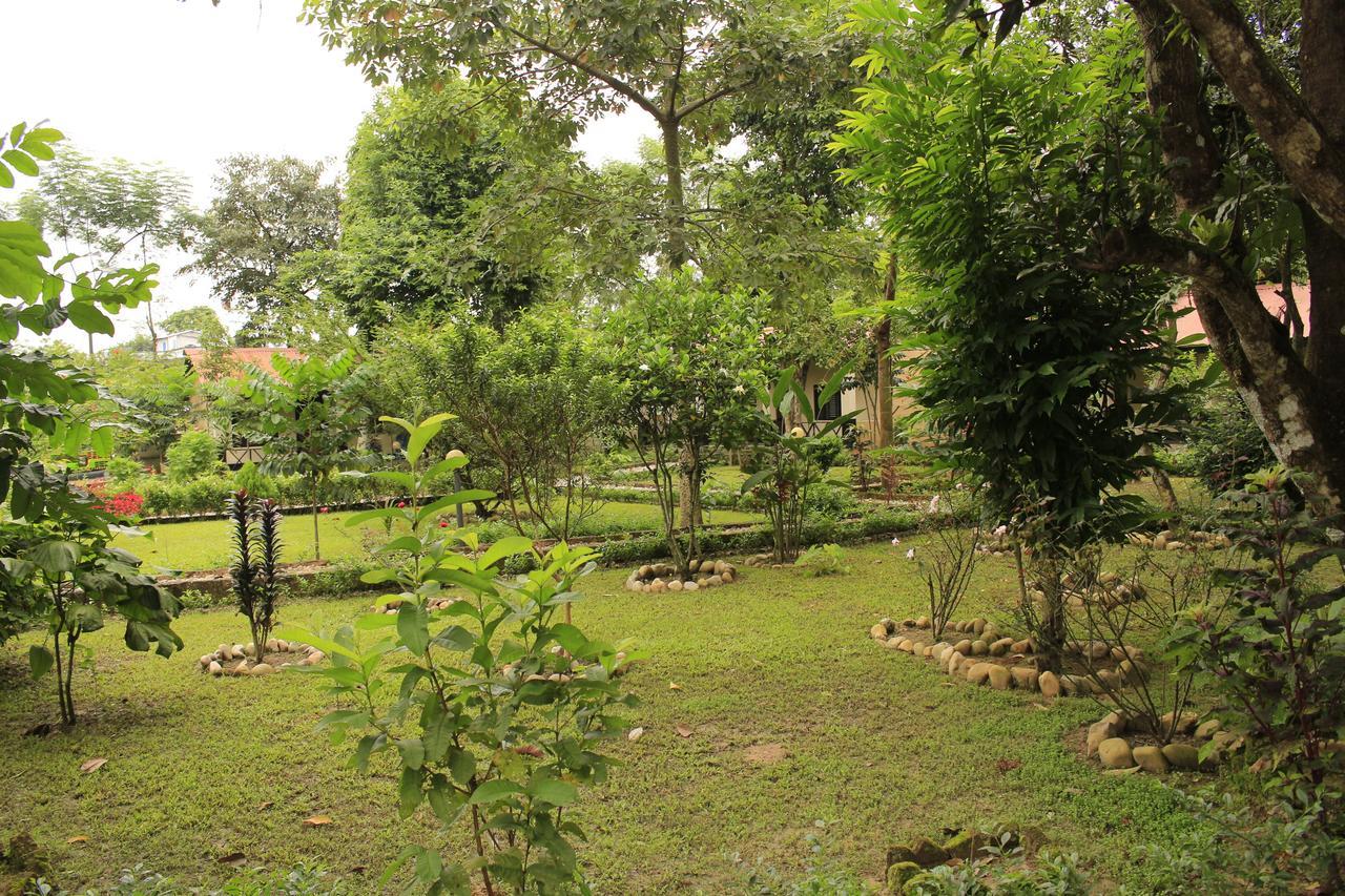 Chitwan Safari Camp & Lodge Sauraha Eksteriør billede