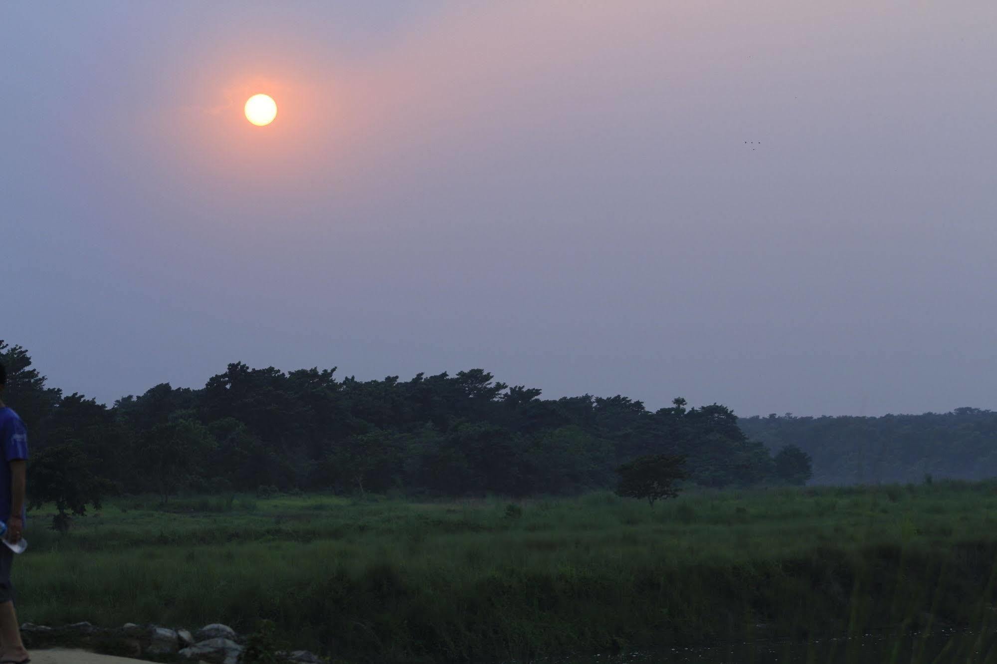 Chitwan Safari Camp & Lodge Sauraha Eksteriør billede